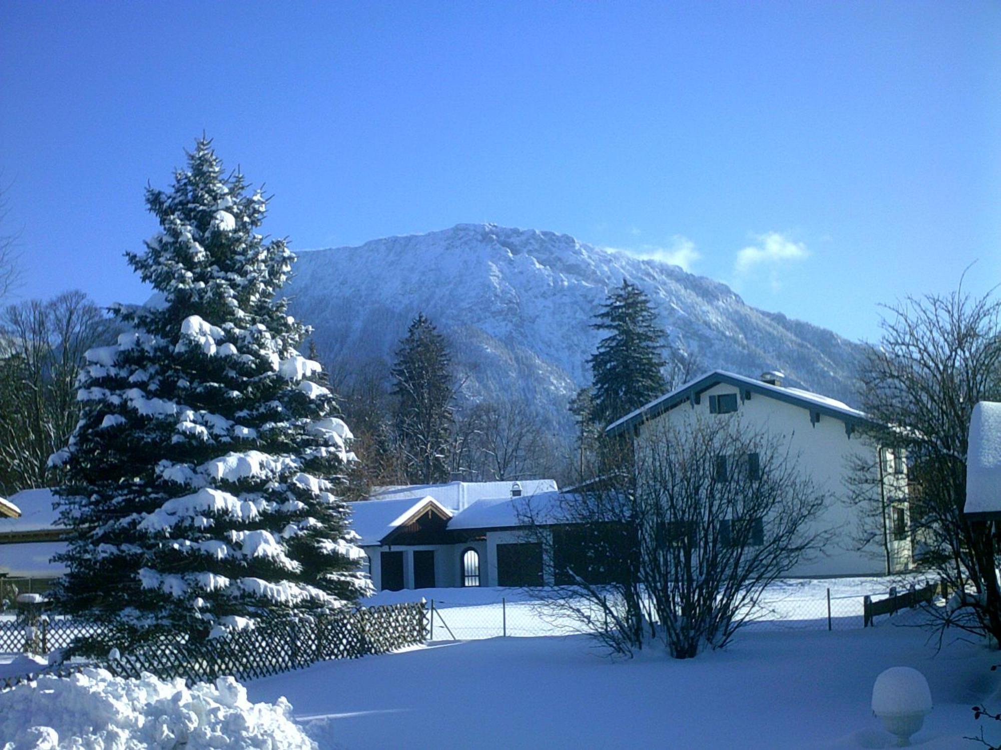 Apartament Haus Alpenblick Inkl. Chiemgaukarte Ruhpolding Zewnętrze zdjęcie